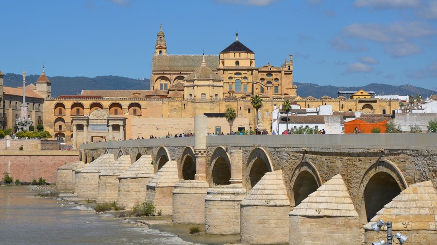 CÃ3rdoba and Carmona Private Day Tour
