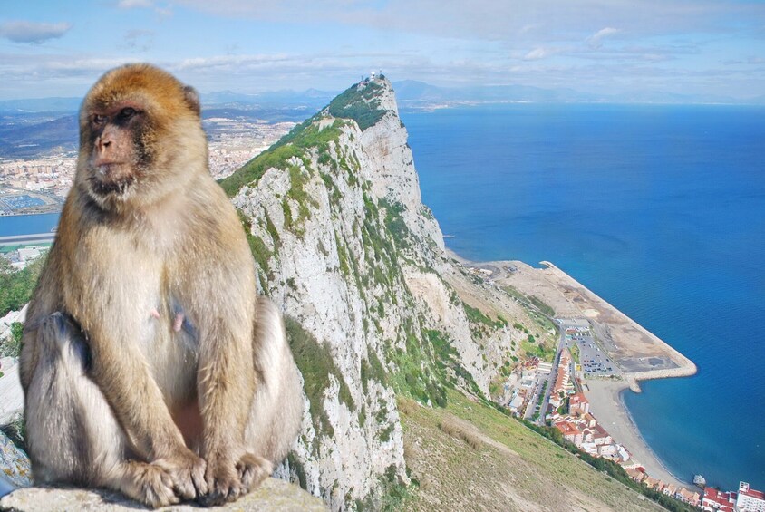 Gibraltar Full-Day Excursion (private)
