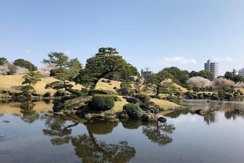 Kumamoto Full-Day Private Tour with Nationally-Licensed Guide