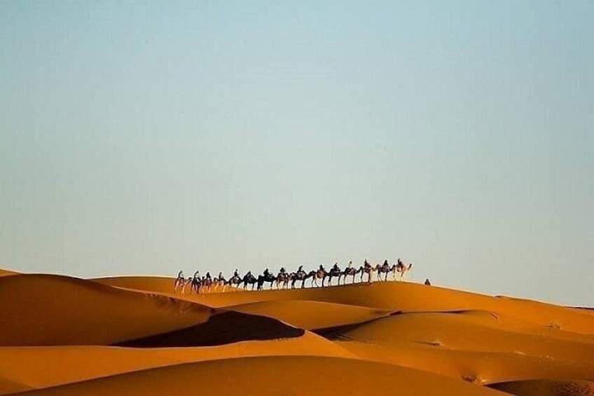 Night In Merzouga Desert, Camel Ride, Standard Camp, Sand Boarding, No Extra Fee