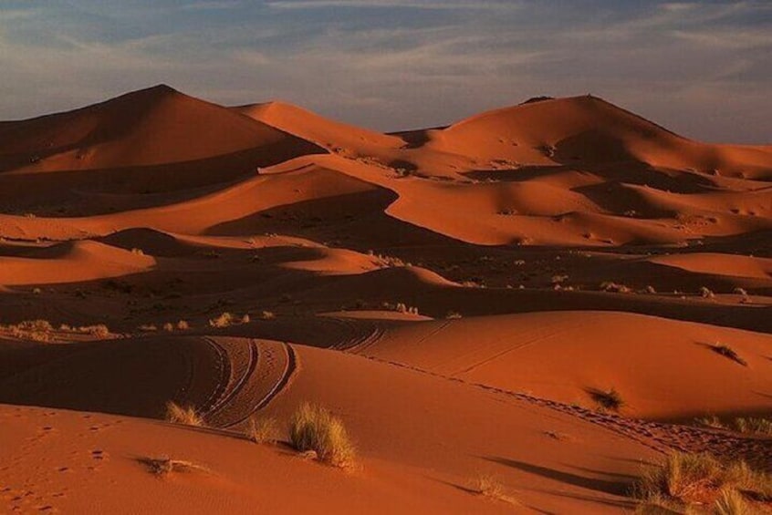 Trip From Erfoud To Merzouga Desert For Sunrise By Camels