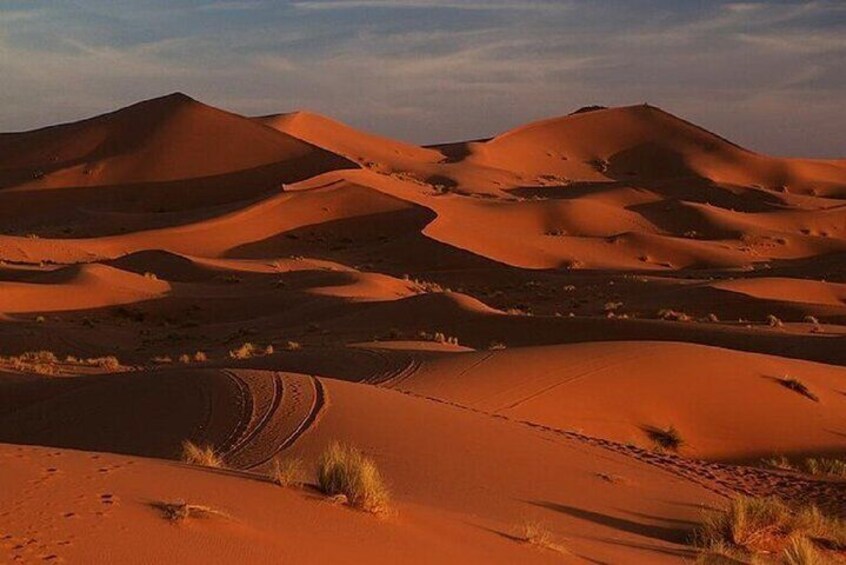 Trip From Erfoud To Merzouga Desert For Sunrise By Camels