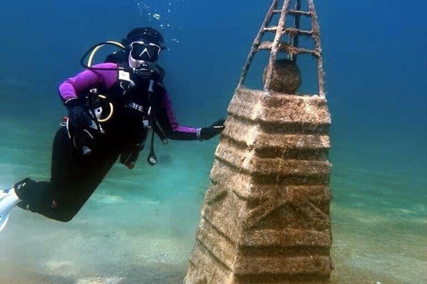 Scuba Diving in Dammam