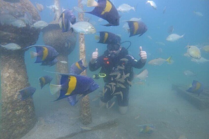 Scuba Diving in Dammam
