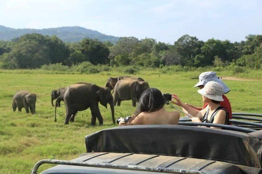 3 Days Glimpse of Sri Lanka