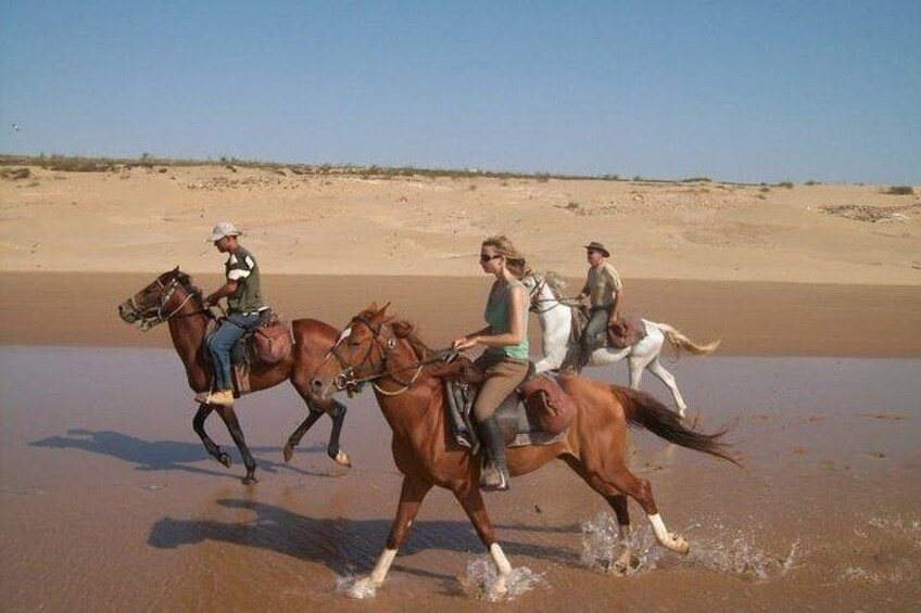 Horse ride in Agadir 