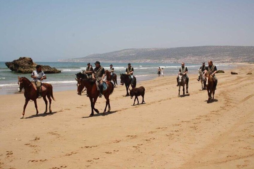 Horse ride in Agadir