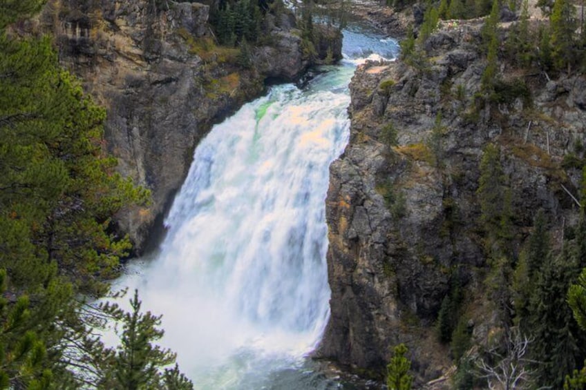 Take a Private Day Tour of Yellowstone National Park