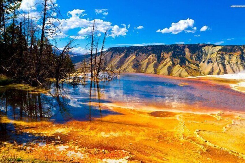 Private Upper Loop Tour of Yellowstone National Park