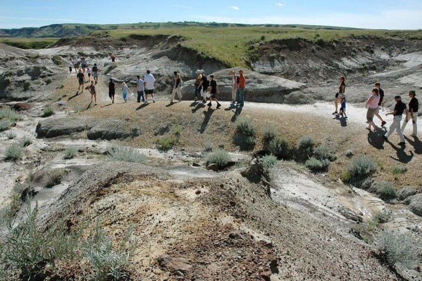 Dinosaur World 1 Day: Drumheller-Badland-Hoodoo-Mine National Historic