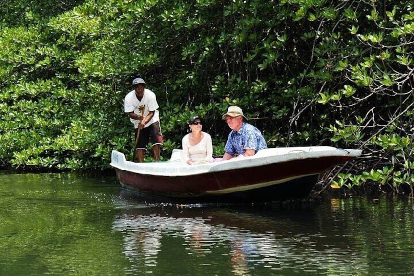 Mangrove point