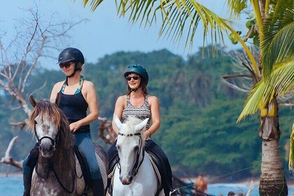 bali safari park gianyar Bali Horse Riding and Tanah Lot Sunset Tour