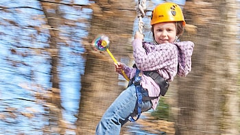 Canopy Zip line Experience Nashville West