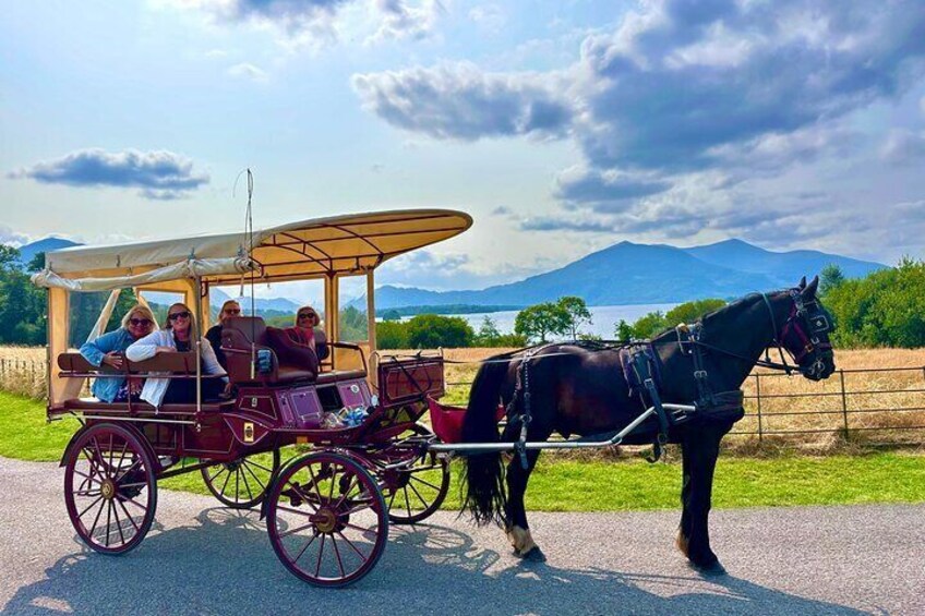 McCarthys Killarney Carriage Rides in Killarney National Park 