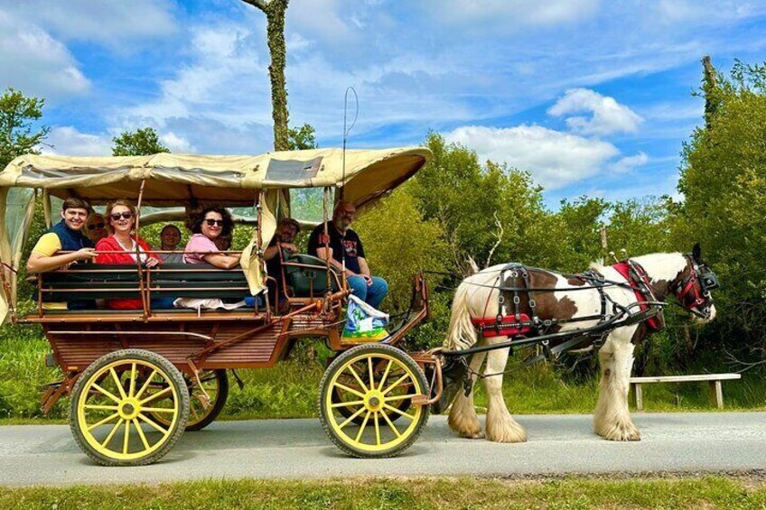 Killarney Jaunting Car Tour