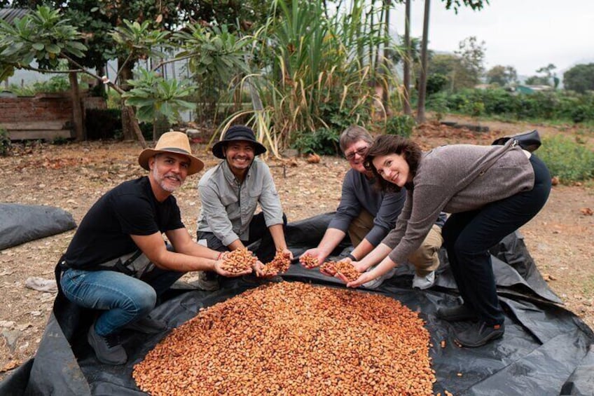 Ecuadorian cuisine with cocoa: class and tasting from Guayaquil.