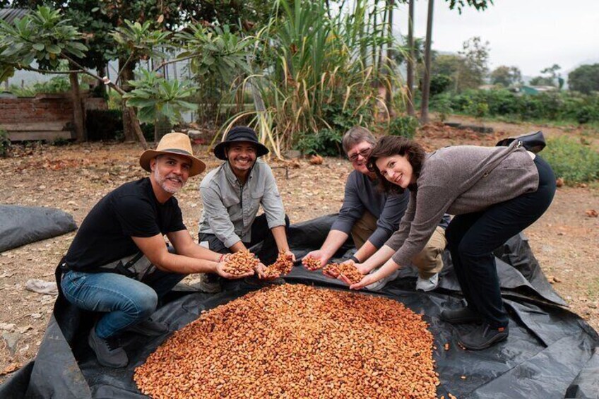 Ecuadorian cuisine with cocoa: class and tasting from Guayaquil.