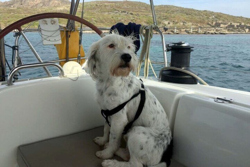Private sailing cruise to Delos and Rhenia islands