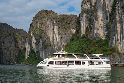 Halong-Kreuzfahrt-Tagestour mit Mittagessen, Höhlenerkundung und Titop-Inse...