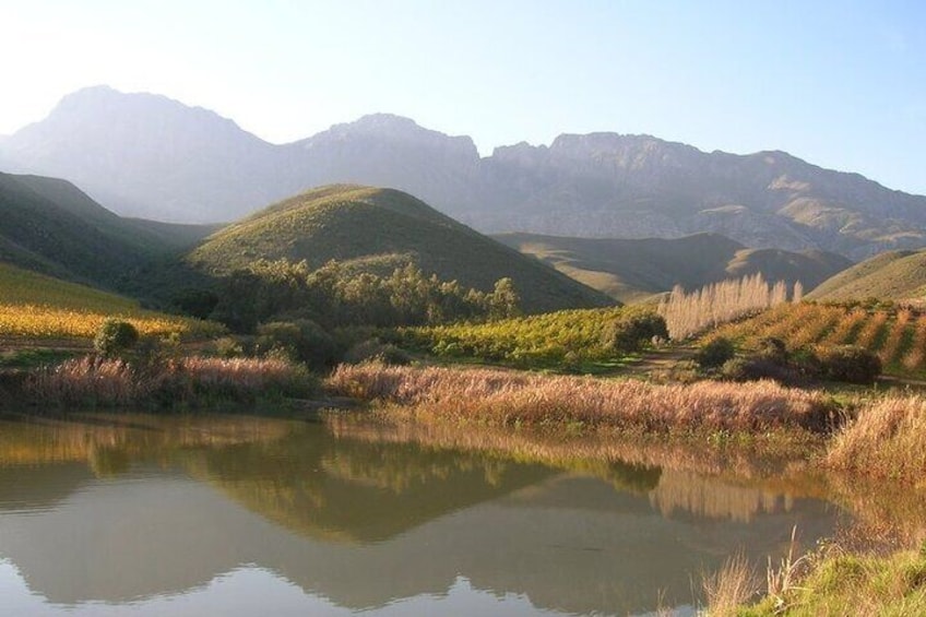 4 Day Garden Route Selection Micro Group: Wilderness, Hermanus, Agulhas & Safari