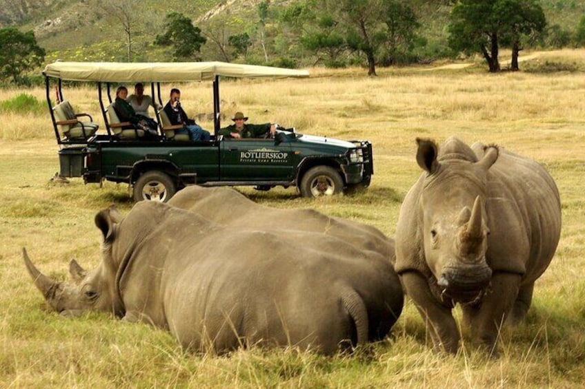 4 Day Garden Route Selection Micro Group: Wilderness, Hermanus, Agulhas & Safari