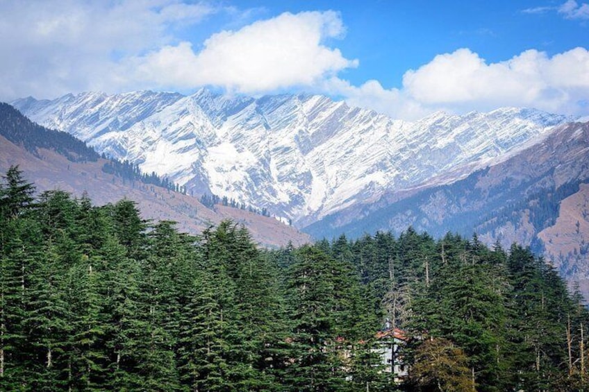 7 Day Shimla Manali Chandigarh Hill Stations Private Tour From Delhi