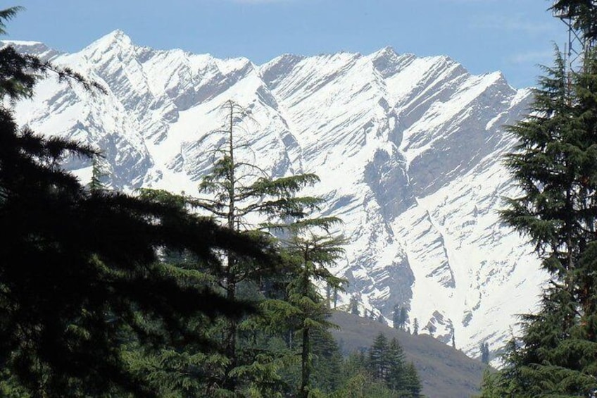 7 Day Shimla Manali Chandigarh Hill Stations Private Tour From Delhi