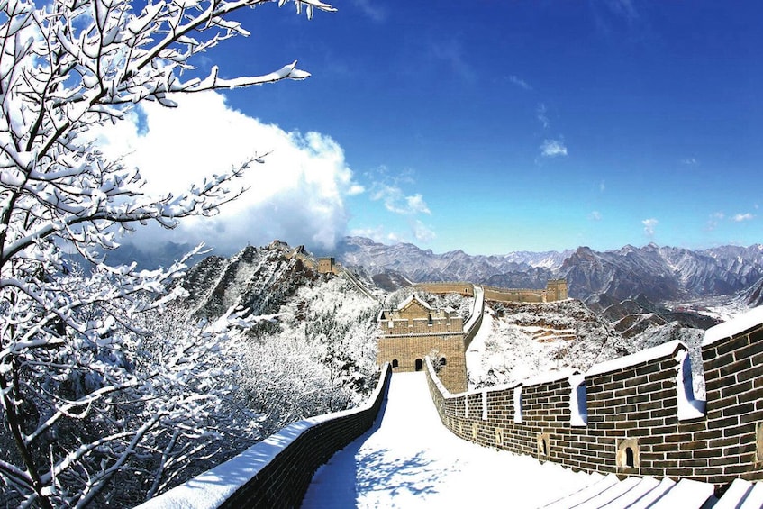 Mutianyu section of the Great Wall. A breathtaking experience!