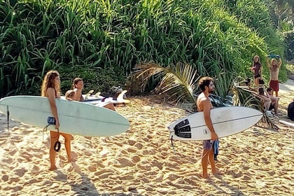 Surf Spots Tour Include Wildlife and Sightseeing