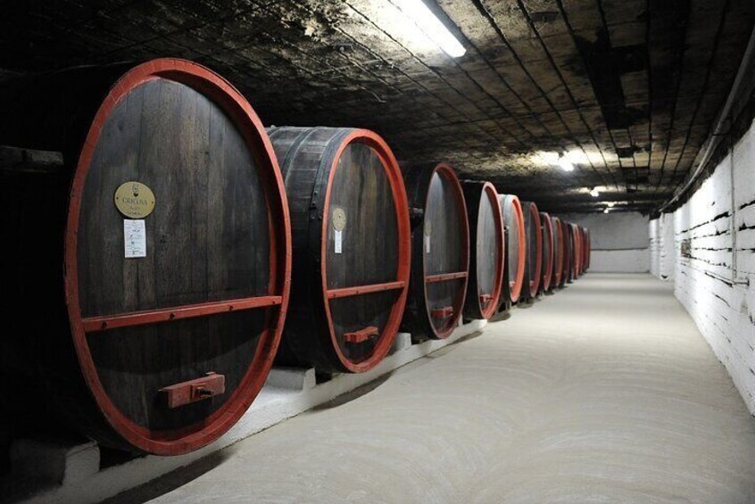 1 Day: Wine tasting tour to Milesti Mici and Cricova cellar from Moldova 