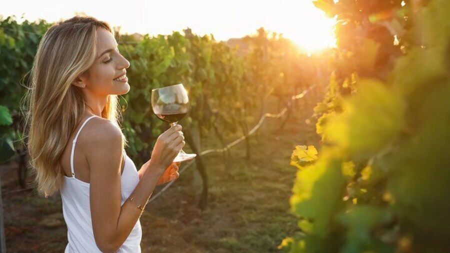 Stellenbosch wine tasting tour