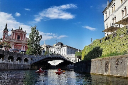 Spend Amazing Tour in Lipica -Ljubljana