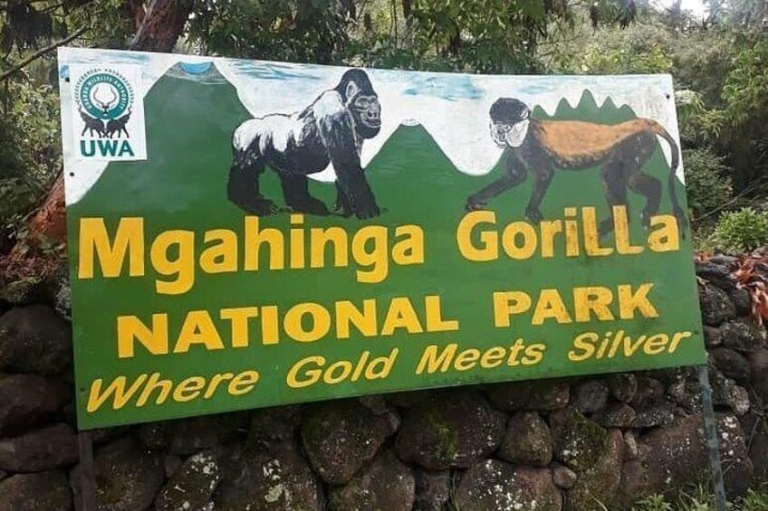 Mgahinga Gorilla National park