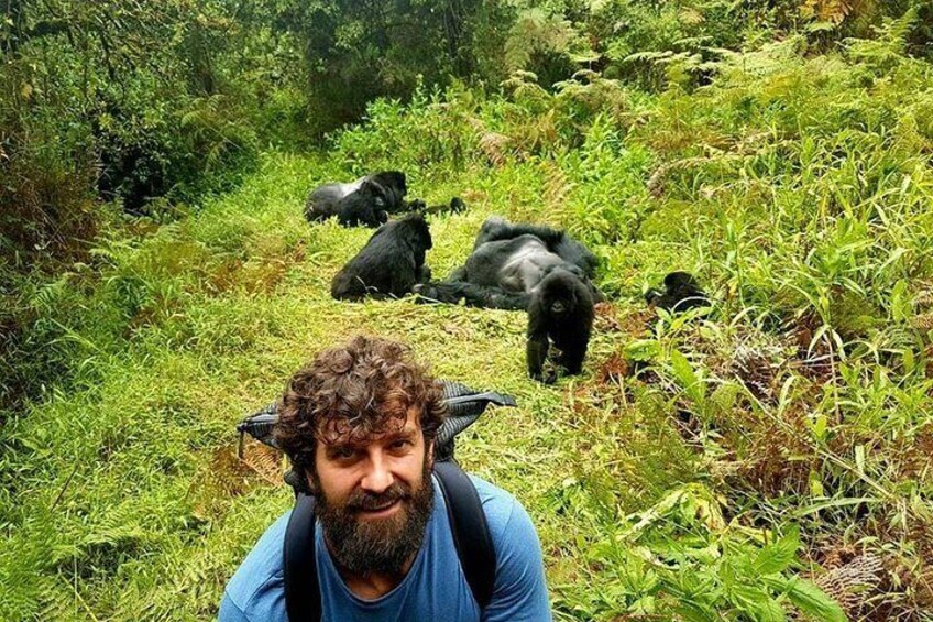 Gorilla Trekking in Mgahinga Park