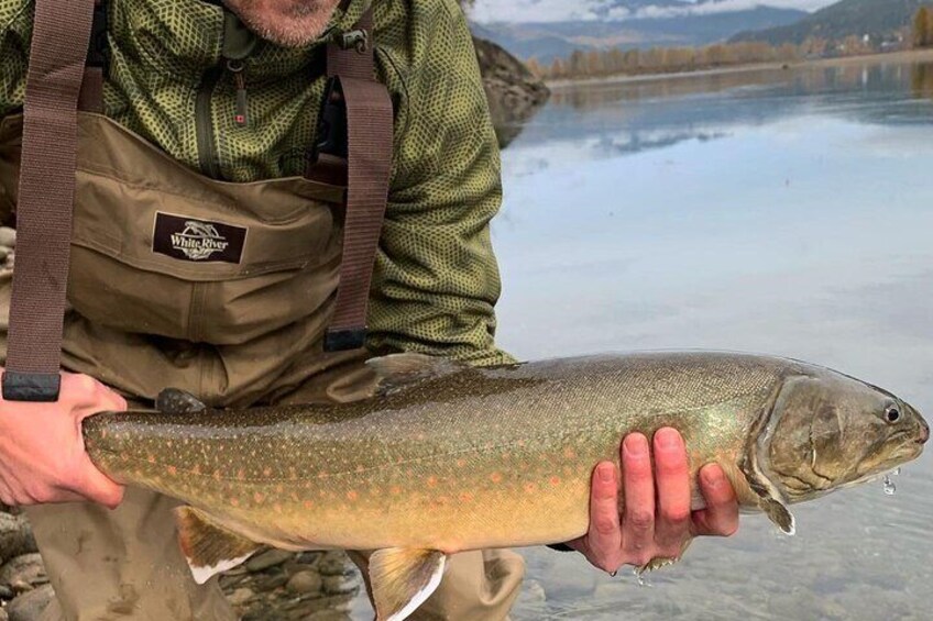 Half Day Walk&Wade (Fly-Fishing / Spin Casting from shore)