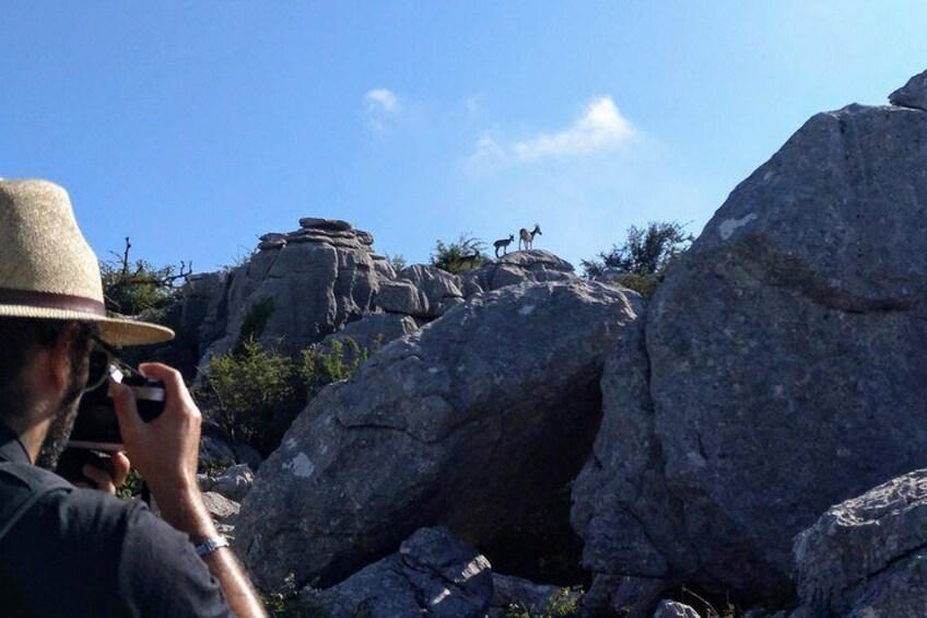 Walking among Ammonites, El Torcal de Antequera