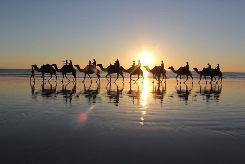 Camel riding and sunset