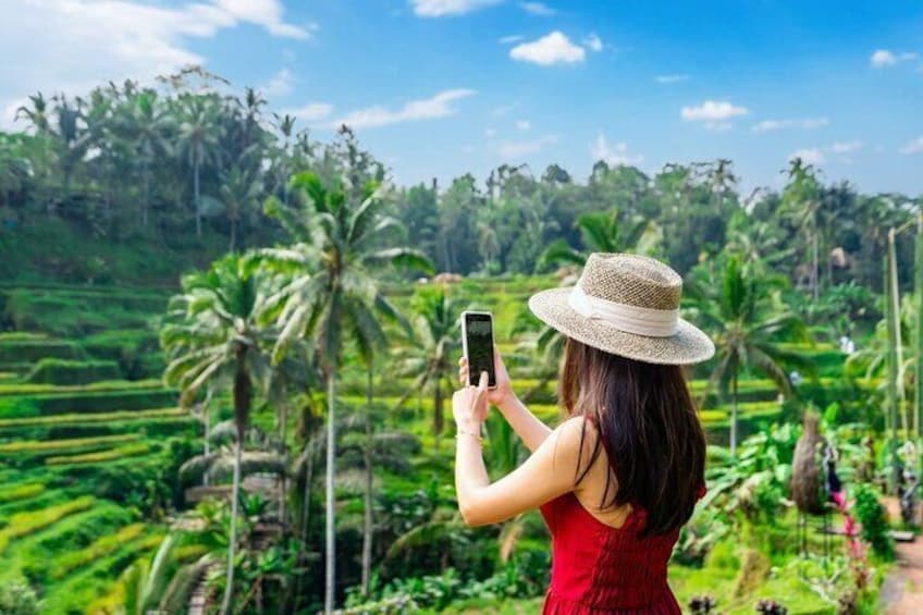 Ubud Tour - Best of Ubud - All Inclusive