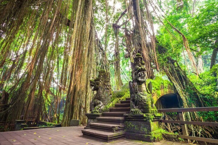 monkey forest ubud