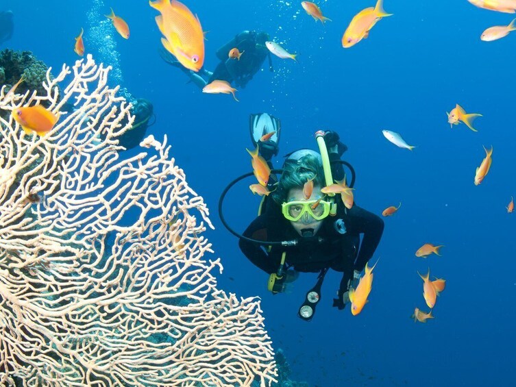 3 Day Nha Trang Scuba Diving Tour 