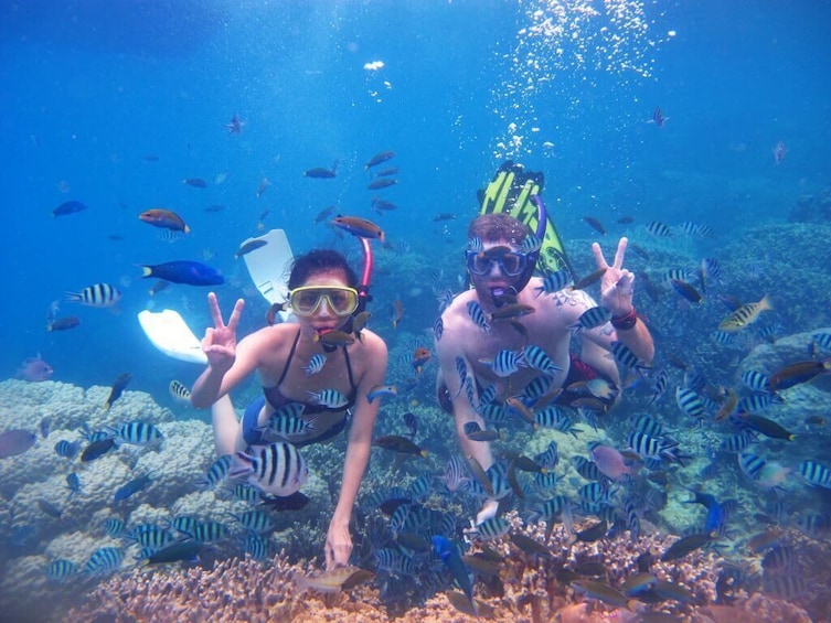 4 Day Nha Trang Scuba Diving Tour