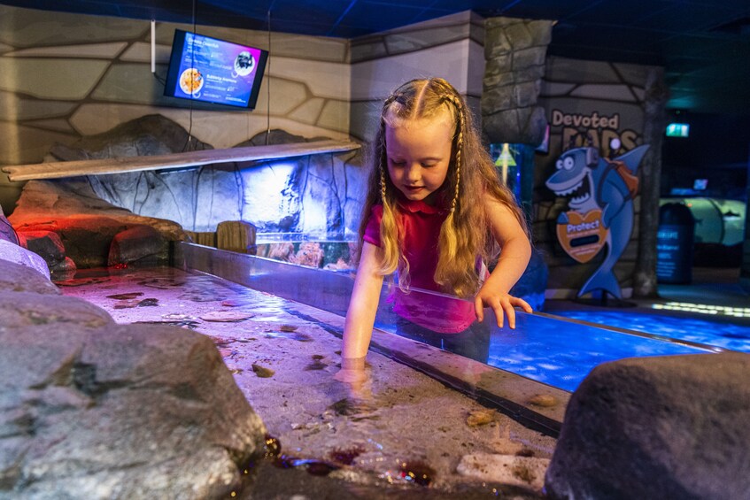 SEA LIFE Hunstanton