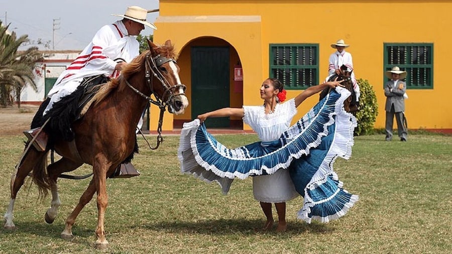 Peruvian Paso Horse & Marinera show with lunch in Trujillo