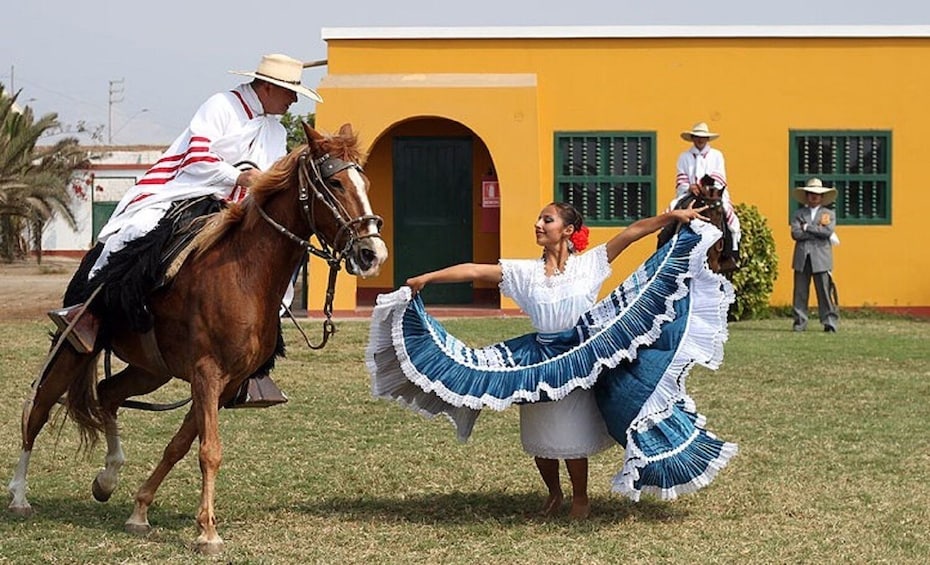 Peruvian Paso Horse & Marinera show with lunch in Trujillo