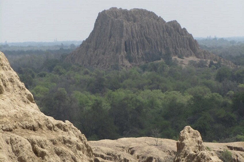 Pomac Forest Historic Sanctuary & Sican Museum