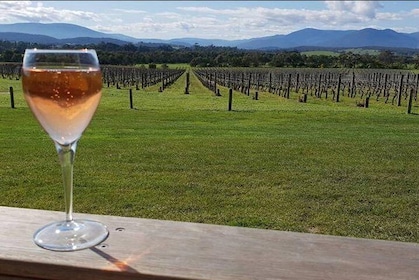 Yarra Valley: 7 Hours Guided Wine Tour with 2-Course Lunch