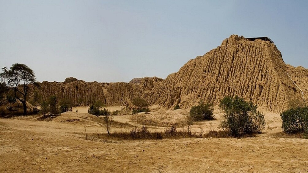 Lord of Sipan Tomb & Site Museum Day Tour in Chiclayo