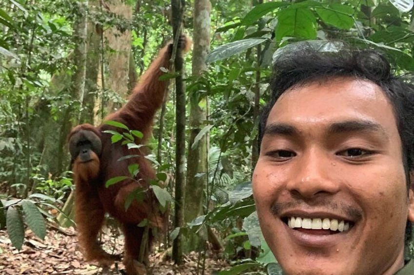 Four days orangutans adventure in Gunung Leuser