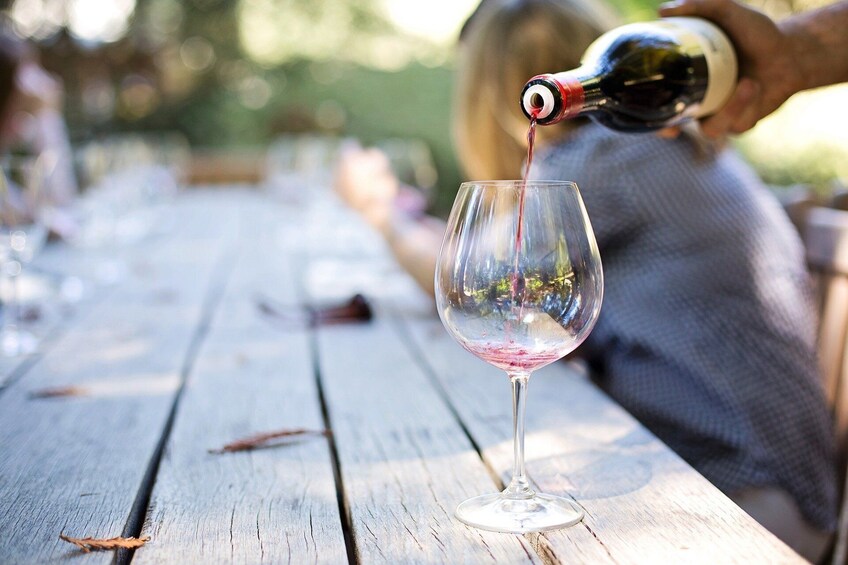 Private tour to Vineyards in Querétaro and Peña de Bernal