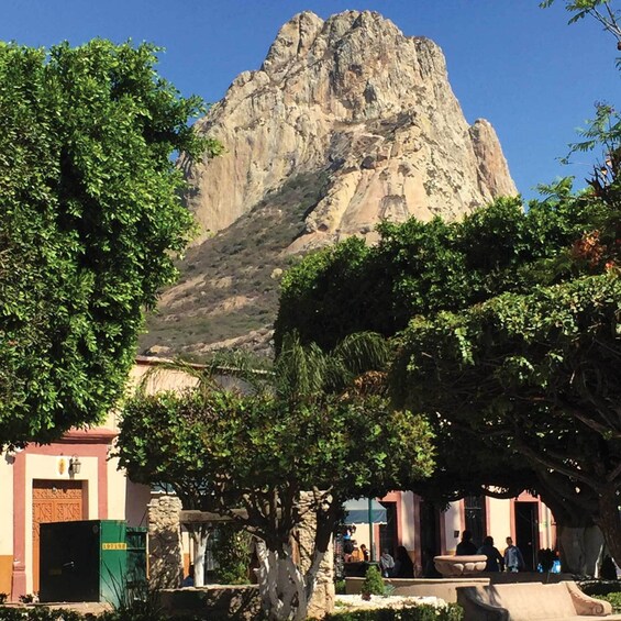 Private tour to Vineyards in Querétaro and Peña de Bernal